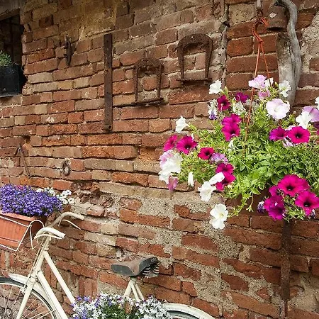 Apartment Vecchio Mulino